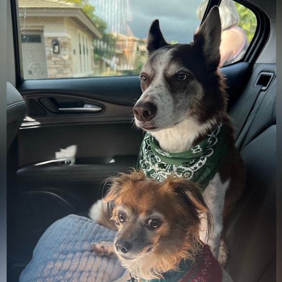 Meet your Posher, Katherine - Picture 1 of 2